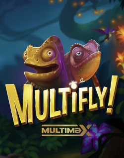 Popular Casino Games - Multifly!