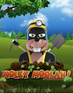 Popular Casino Games - Moley Moolah