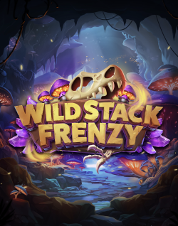 Popular Casino Games - Wild Stack Frenzy