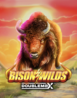Popular Casino Games - Bison Wilds