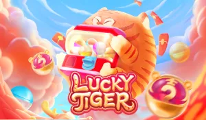 Popular Casino Games - LUCKY TIGER