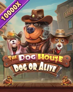 Popular Casino Games - The Dog House  – Dog Or Alive