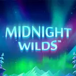 Online Slot Games - Midnight Wilds