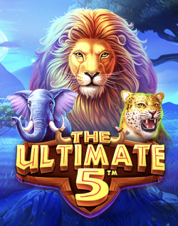 Online Slot Games - The Ultimate 5